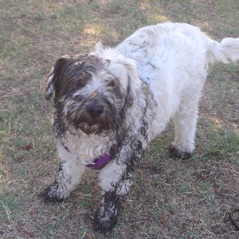 Meet your Posher, Cindy